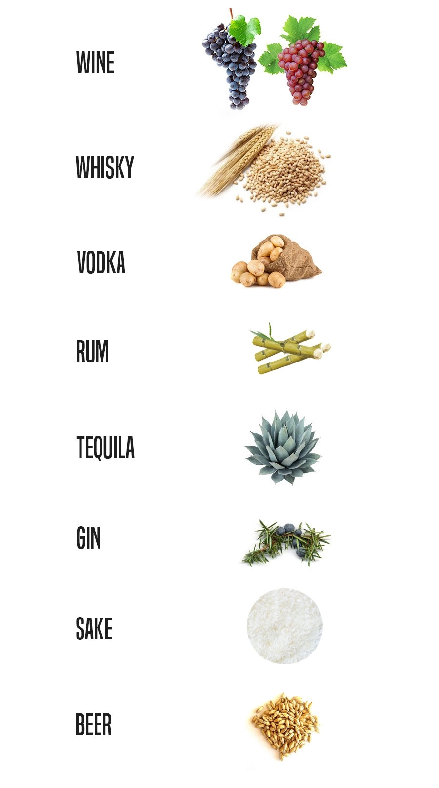 Liqueurs and Spirits: How to Tell the Difference
